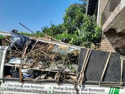Best Carpet Removal and Disposal  in Piedmont, SC